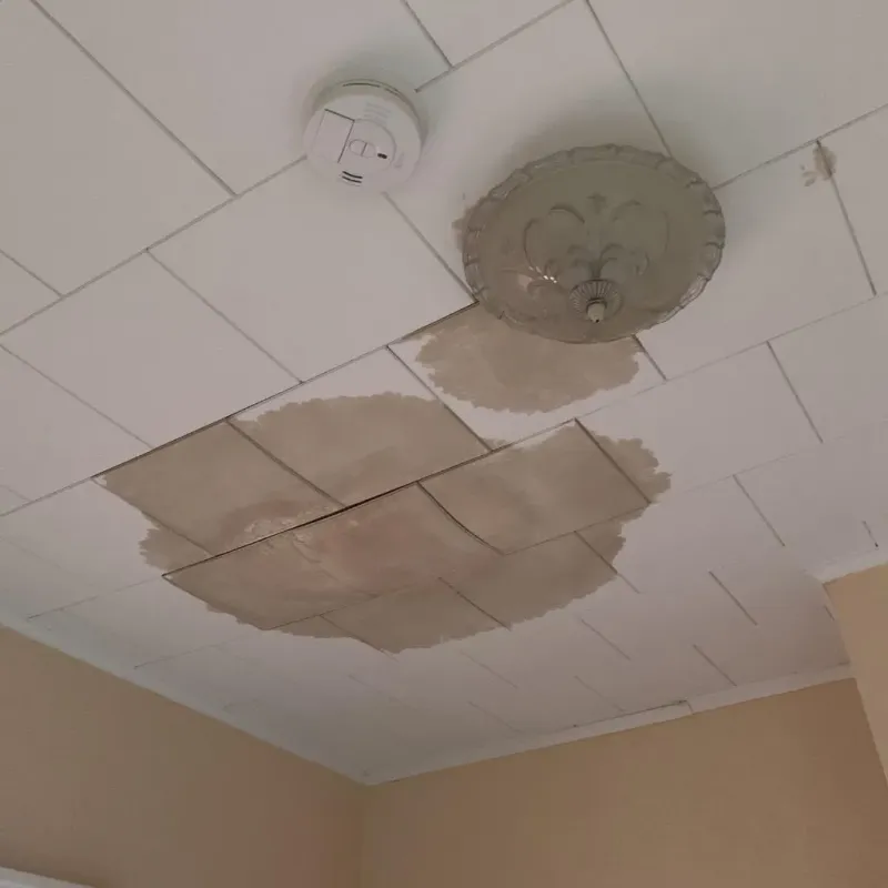 Ceiling Water Damage Repair in DeKalb County, TN