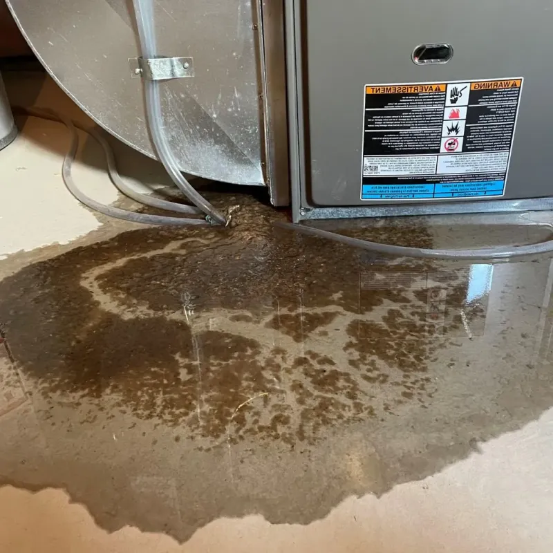 Pipe Burst and Leak Restoration in DeKalb County, TN