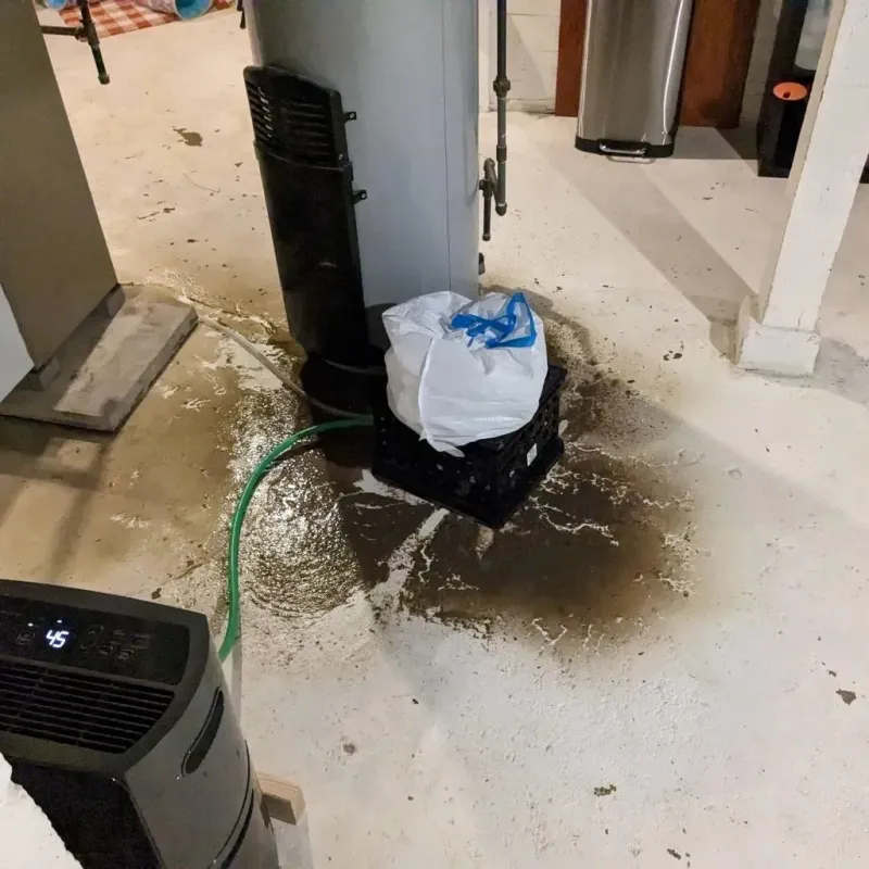Sewage Backup Cleanup Service in DeKalb County, TN